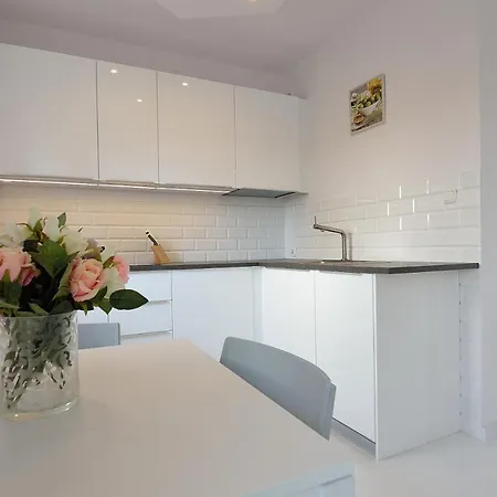 Atrakcyjne Z Tarasem Victus W Sopocie By Renters Apartment *